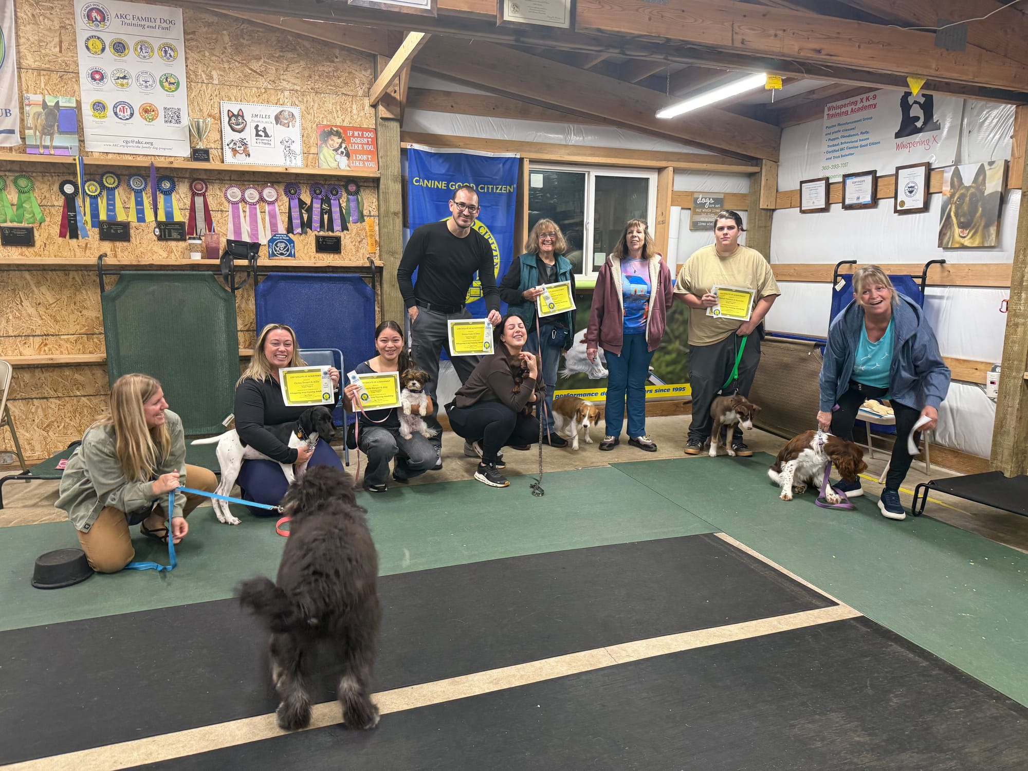 August 2026 - Jack, Millie, Abby, Enzo, Selkie, Maverick, and Olive