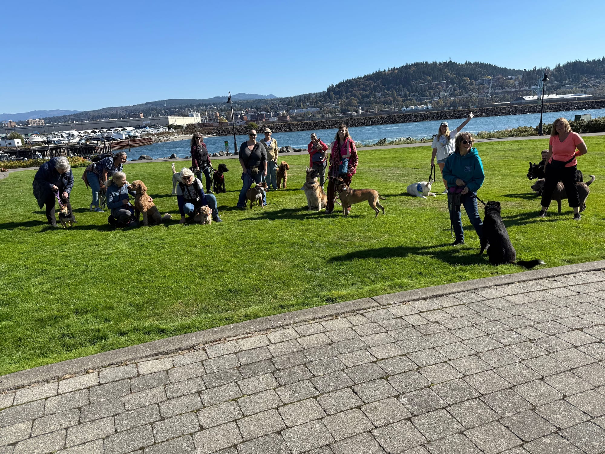 September 2026 - Bandit, Halo, Kona, Sofia, Stormy, Spider, River, Ollie, Manny, Xada, Xantha, Indy, Pearl Krebs, Blue, and Anibis