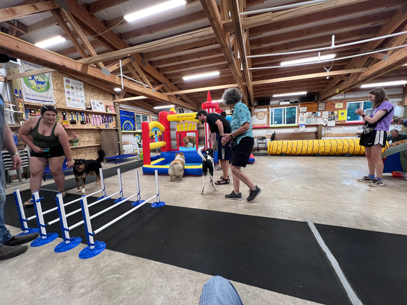Obedience Community Level 2: Wednesdays 7:30pm to  8:30pm Oct/Nov/Dec 2025