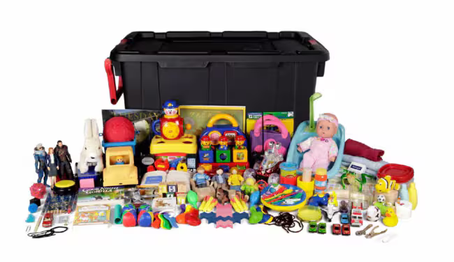 ADOS-2 Certification