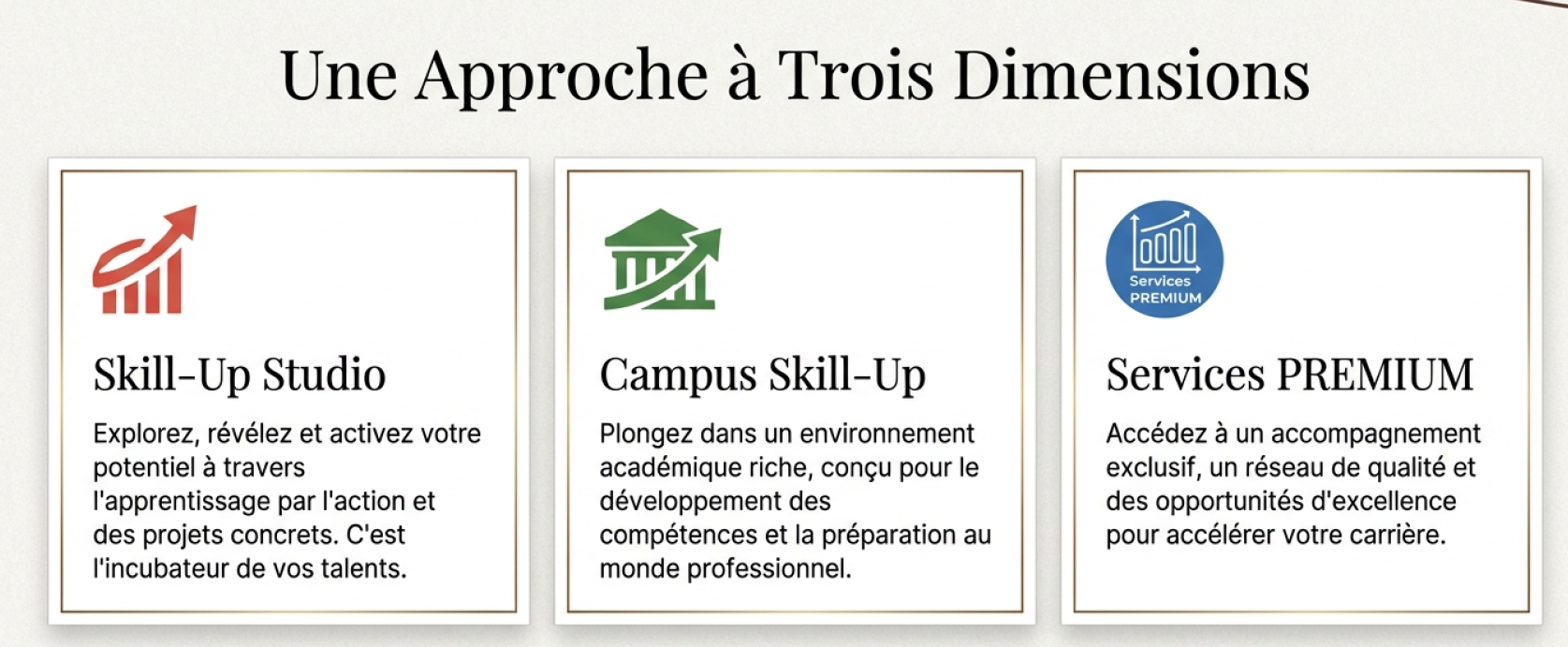 Skill-Up Studio - Revelateur de potentiel 