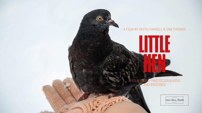 Little Hen