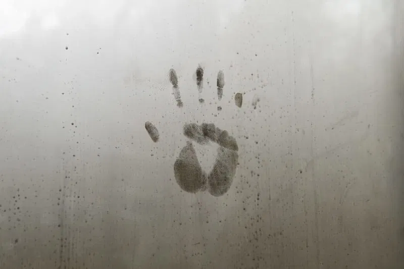 Enhancing Storage Solutions: The Practicality of Non-Climate-Controlled Storage Units