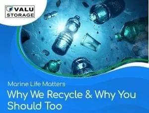 Marine Life Matters! (why we recycle & why you should too)