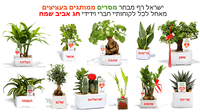 אשמח להציע לשמירת הקשר עם העובדים והלקוחות עציצים ממותגים