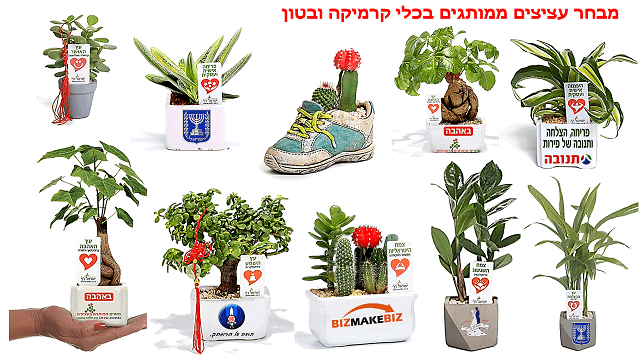 מתנות לראש השנה,  מסר של פריחה אישית ועסקית  לפריחה כלכלית בעסק שלך 