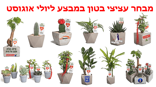 מתנות לראש השנה, עציצי בטון במבצע, מתנות לעובדים והלקוחות 