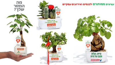 לשנה יותר מוצלחת תנו מתנות לסוף שנה וטו בשבט, ללקוחות ולעובדים עציץ עם מסר אישי ממותג