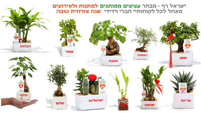 בסוף השנה תנו ללקוחות שלכם מתנה עציץ עם מסר אישי ממותג