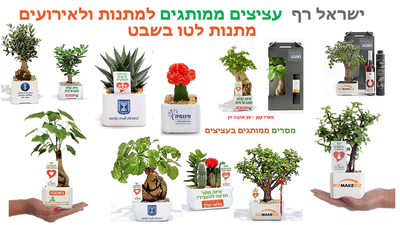מתנות לטו בשבט לעובדים והלקוחות, עציצים ממותגים כמוצרי פרסום לצמיחה עסקית