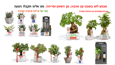 סרטון מתנות ממותגות לטו בשבט ברוח החג עם מסר אישי ממותג