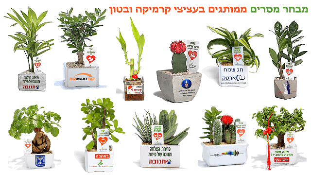 מתנות לפסח, עציצים ממותגים יחזקו את הקשר עם צוות העובדים והלקוחות