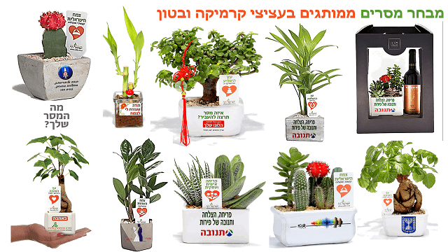 מתנות לראש השנה, עציצים ממותגים, מתנות לעובדים והלקוחות לחיזוק הקשרים לאור המצב. 