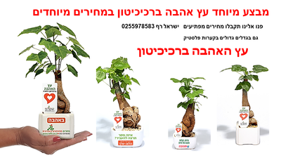 מתנות לראש השנה, עץ אהבה נותנים באהבה, עציצים ממותגים ומארזי שי