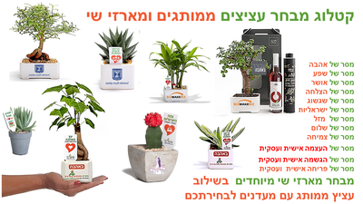 מתנות לראש השנה, עציצים ממותגים ומארזי שי לחיזוק הקשר עם העובדים והלקוחות