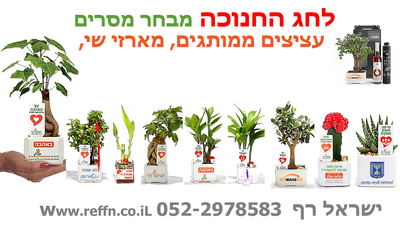 מתנות לחג החנוכה, עציצים ממותגים, מארזי שי, מתנות לעובדים וללקוחות מזכרת לשנים רבות