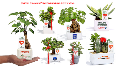 מתנות לראש השנה תנו עציצים ממותגים ומארזי שי לעובדים וללקוחות