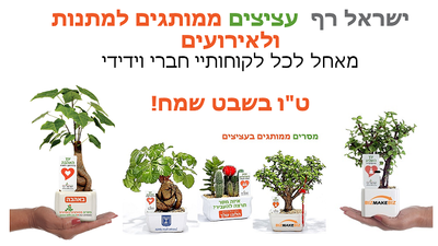 מתנות לטו בשבט לעובדים וללקוחות, לצמיחה עסקית. עציצים ממותגים כמוצרי פרסום