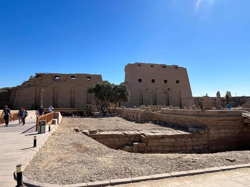 Highlights of a Day Trip from Safaga Port to Luxor $206