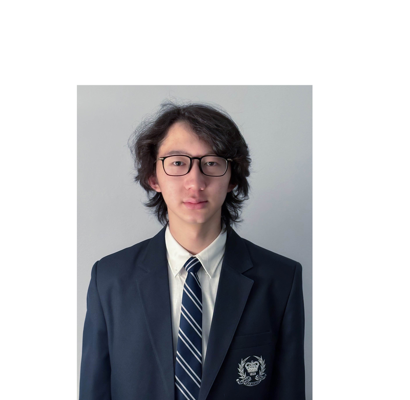 MAP3K8 (TPL2) and Multiple Myeloma