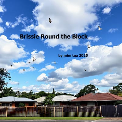 Brissie round the block