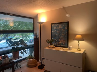 À propos de la thérapie image