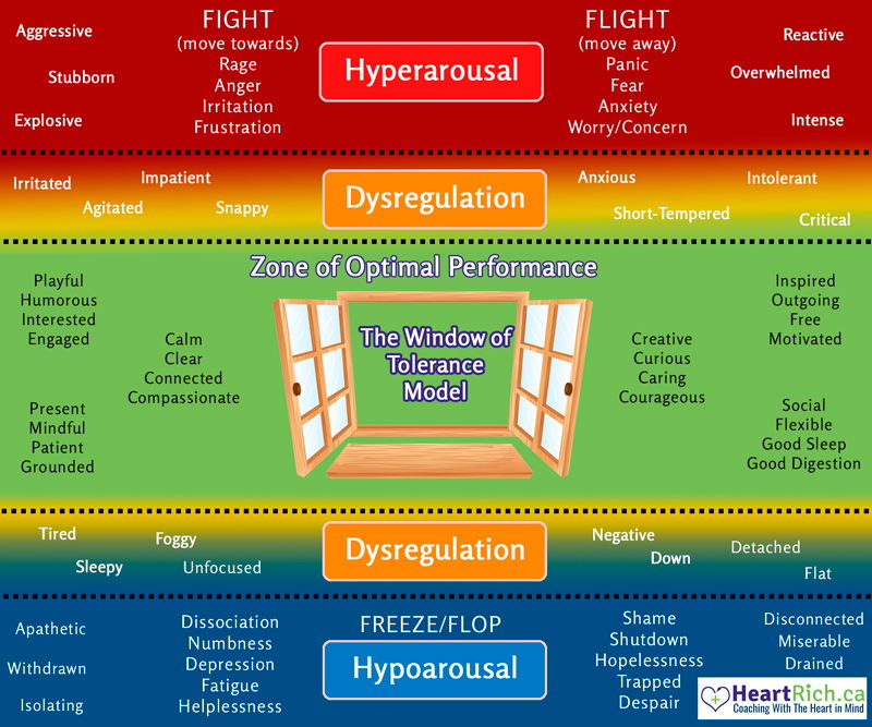 Understanding the Window of Tolerance: A Guide for Parents and Carers.