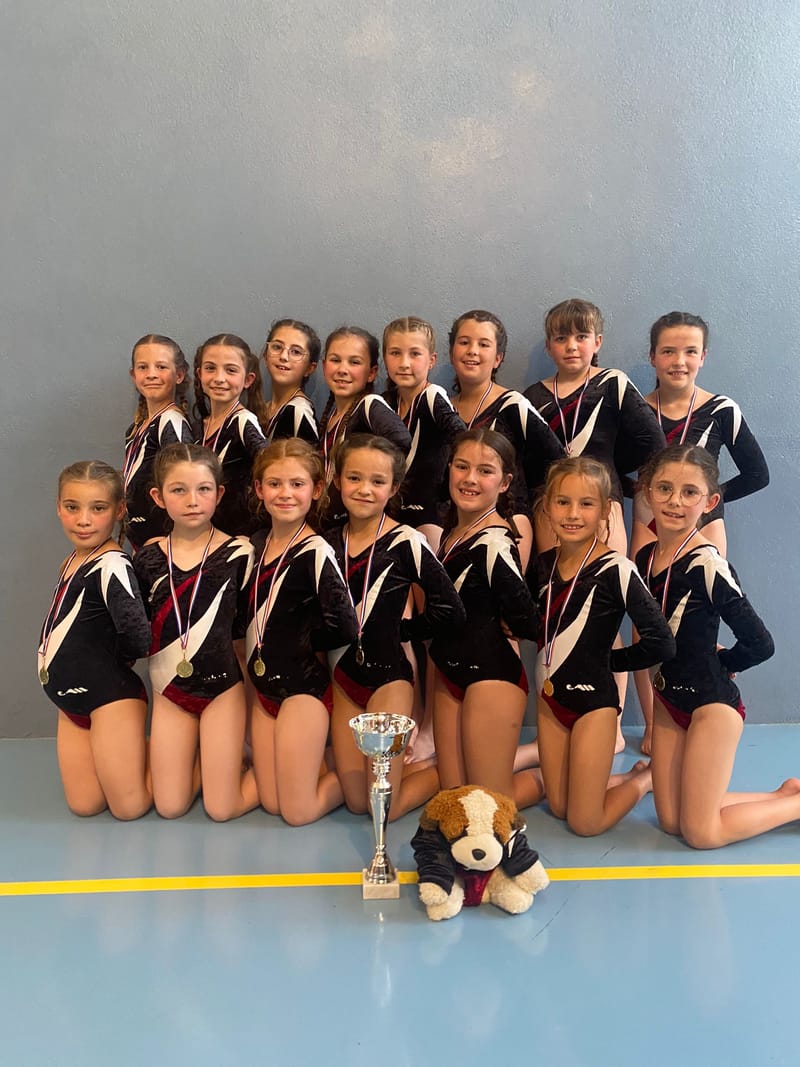 DEPARTEMENTAUX POUSSINS