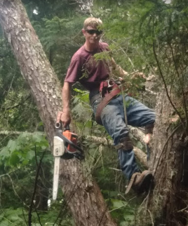 tree service