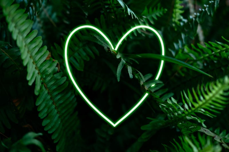 Organiser un Mariage Écoresponsable en 2025 : Conseils et Inspirations