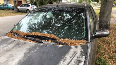 Smartbox: Keeping Your Car Secure and Roadworthy