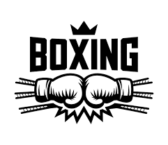 Oleksandr Usyk vs Rico Verhoeven