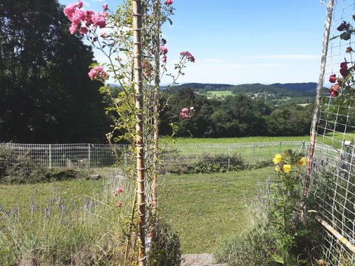 qi gong pratique dans la nature St Julien du Pinet