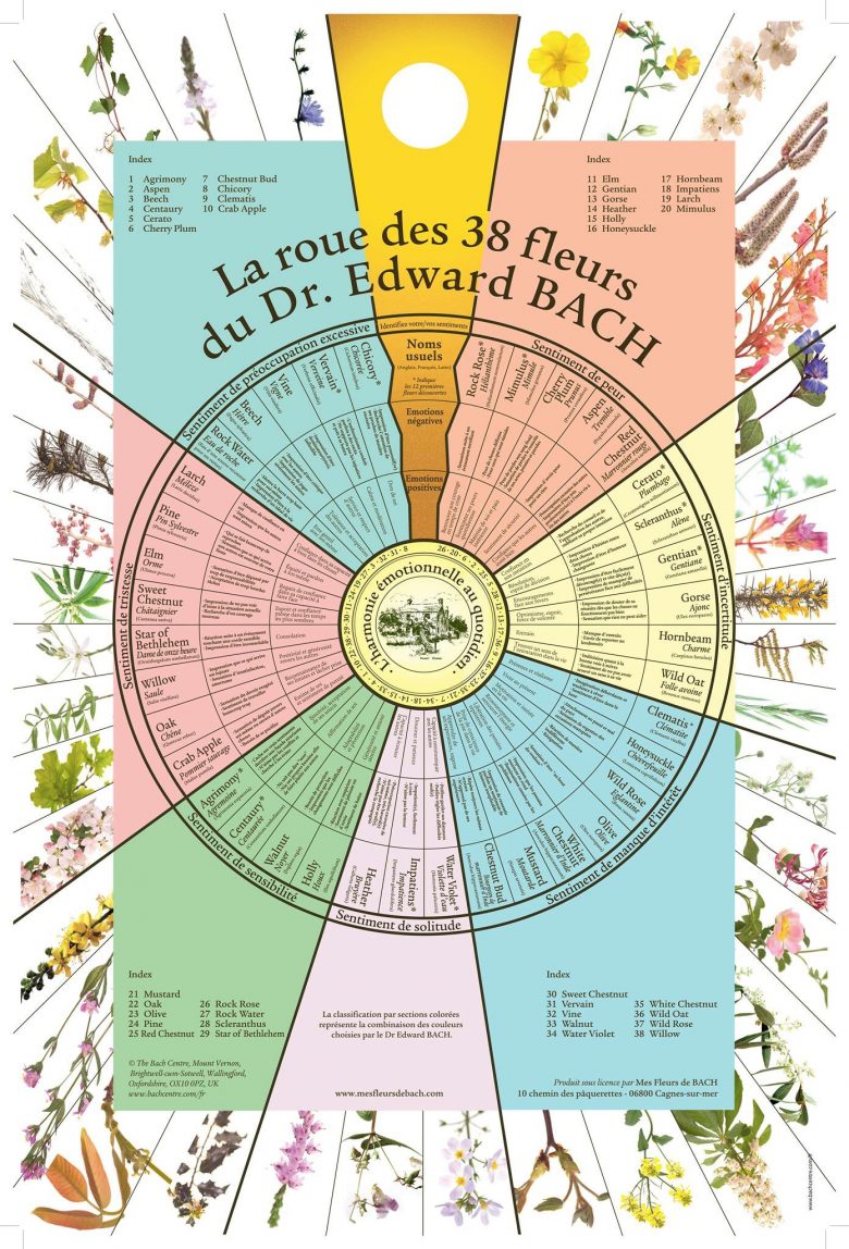 Les 38 fleurs du Système Floral du Docteur Bach