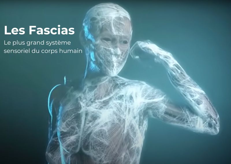 LES FACIAS