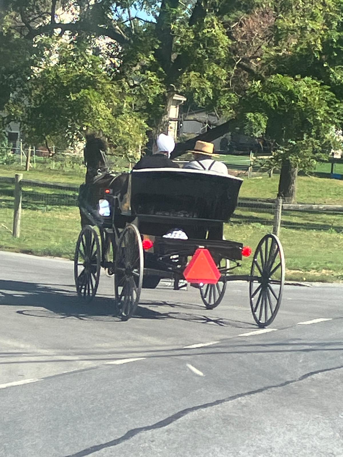 טיול בארץ האמיש