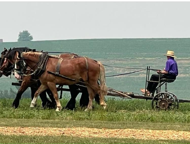 סיור יום פילדלפיה