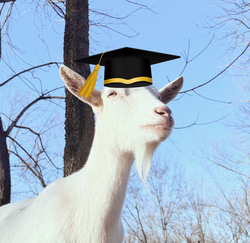 Goat University