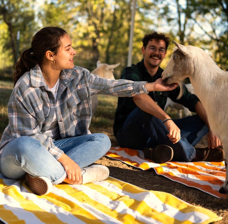 Goat Yoga