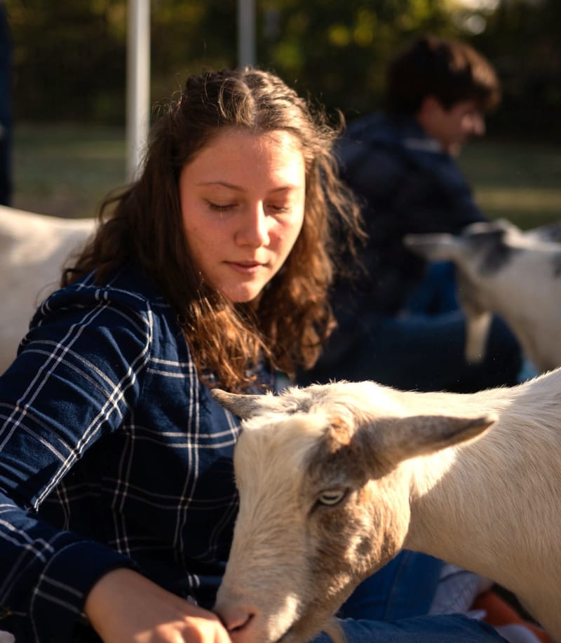 Goat Therapy