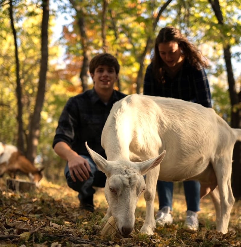 Forest Goat Yoga