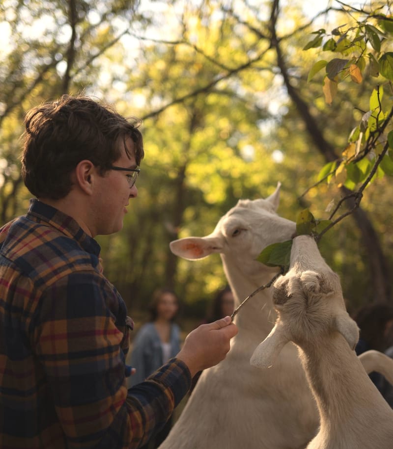 Goat Hiking