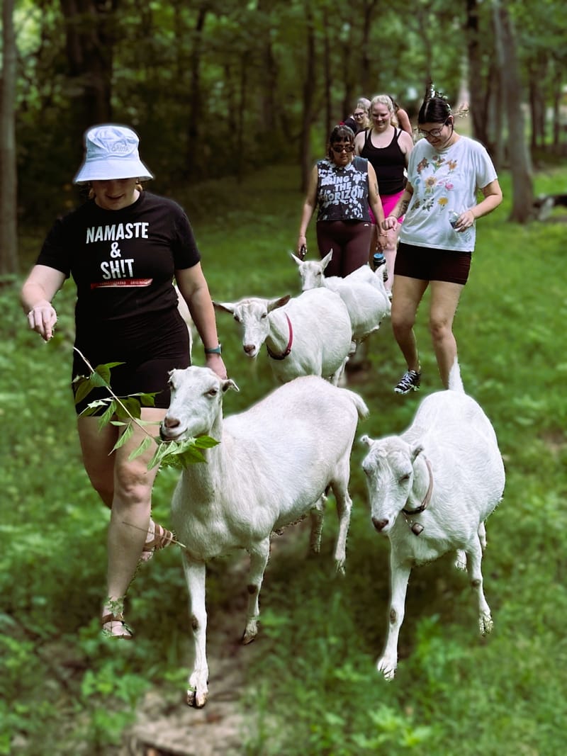 Goat Hiking & Playtime