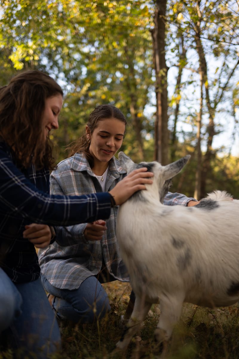 Animal Assisted Therapy with Goats