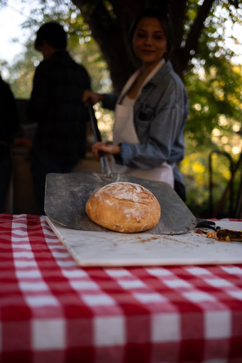 Providence Hill Farm photo 7