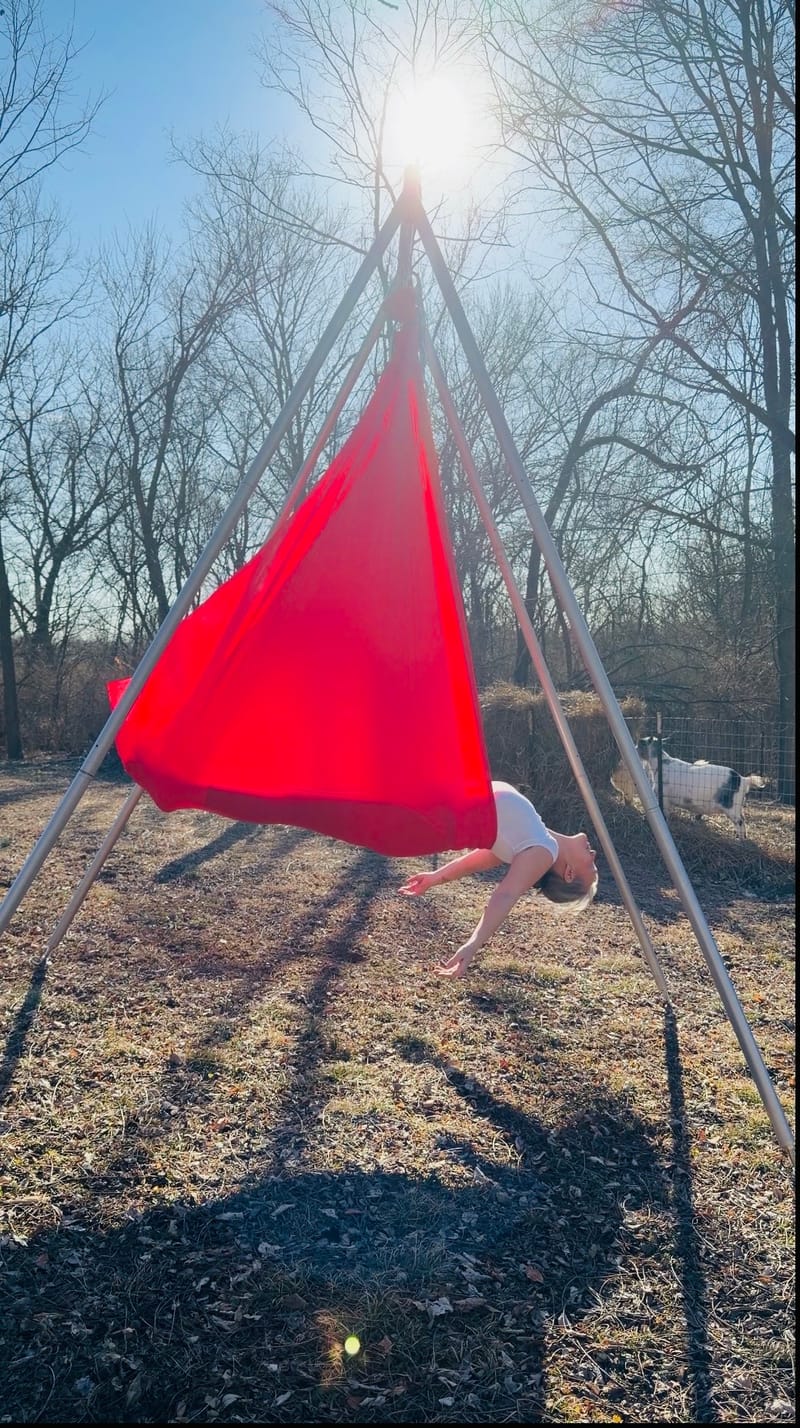 The Four Pillars of a Human Life: An Introduction to Your Life’s Purpose Through Aerial Yoga