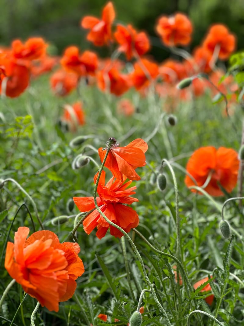 The Art of Letting Go A Floating Rest Mini Retreat 3-Hour Mini Retreat · May 2nd