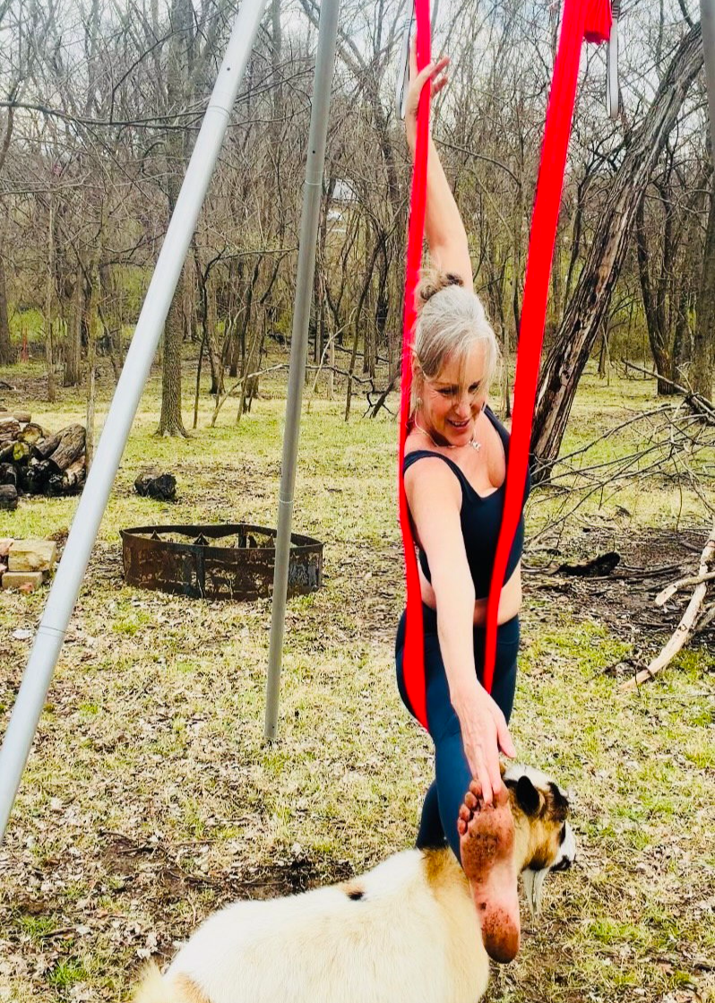 Intro to Aerial: Foundations for Strength, Support & Longevity