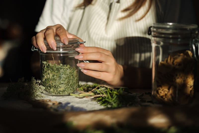 Herbalism & Plant Medicine