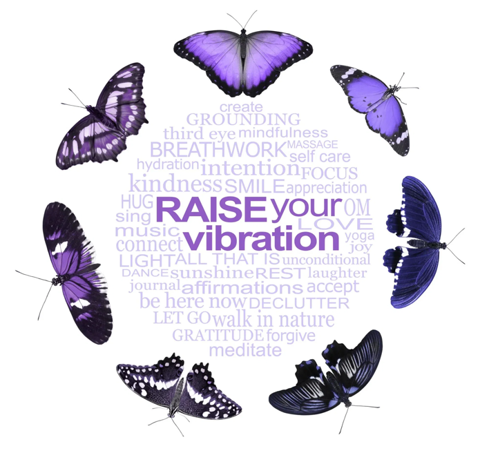 A group of butterflies in a circleDescription automatically generated